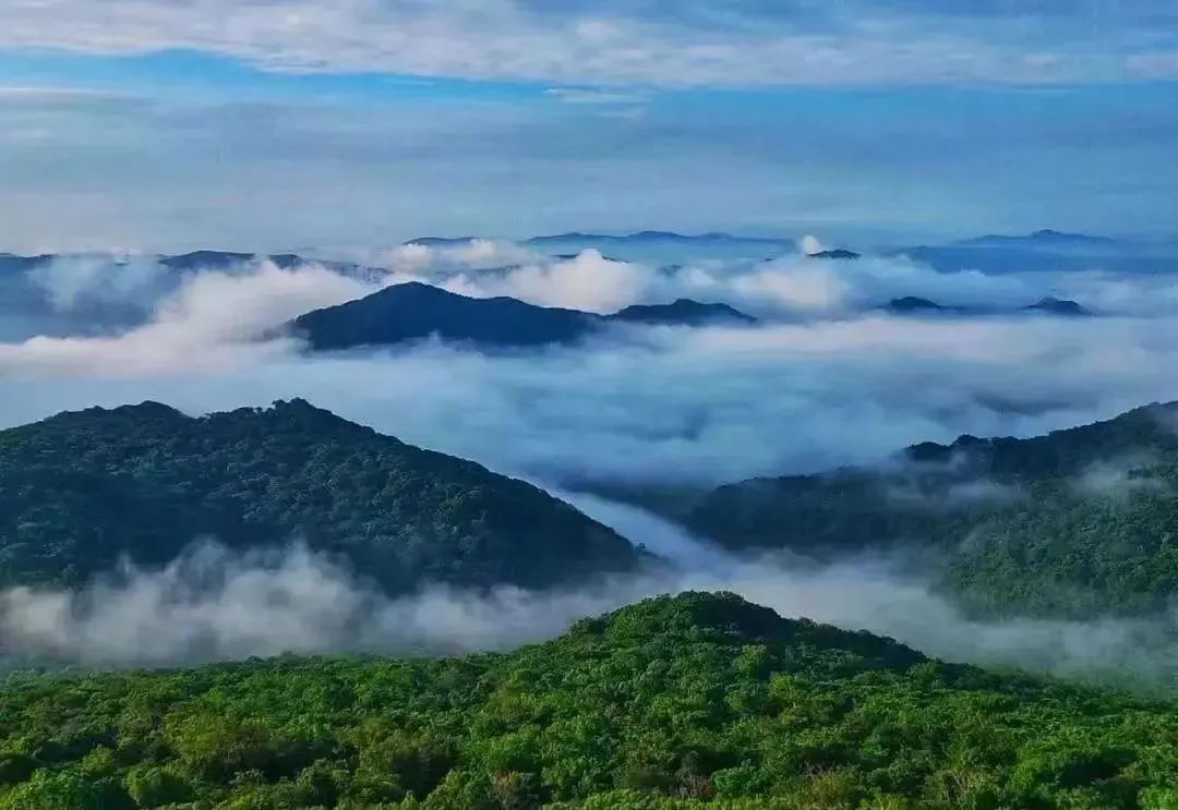 冰城夏都|拒绝宅在家，这几个周边游好去处快收藏！