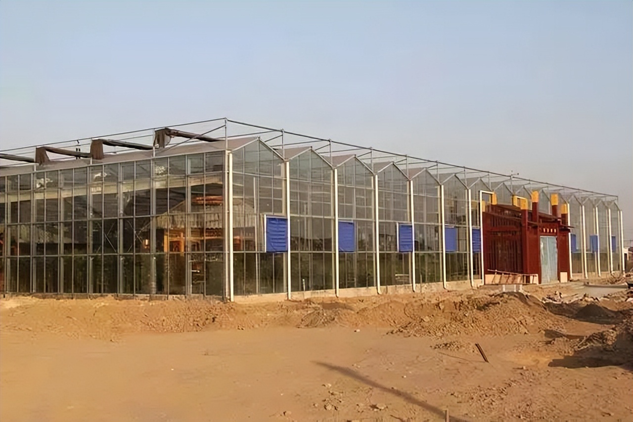 农业发展温室大棚的优点,田园综合体蔬菜大棚