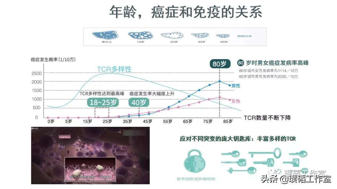 生命银行储存免疫细胞,生命银行是大健康的巨大风口