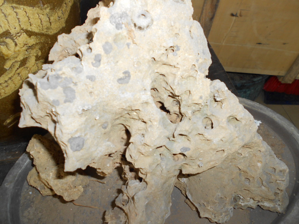 河边捡的哪些石头值得收藏,收藏精品石头