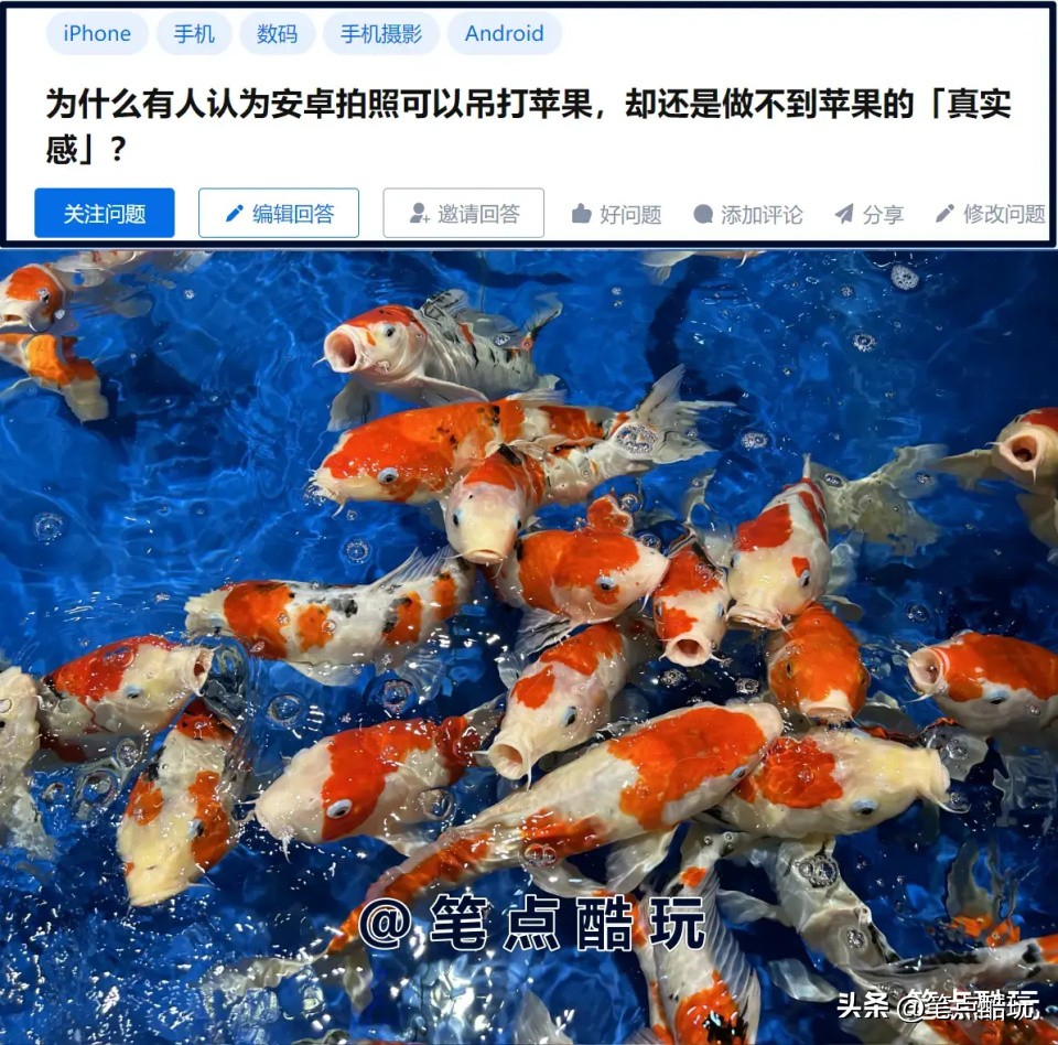 为什么安卓手机拍照没苹果真实,苹果手机拍照为什么比安卓真实