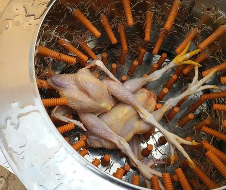 让别人占便宜,让别人占便宜却赚钱的项目