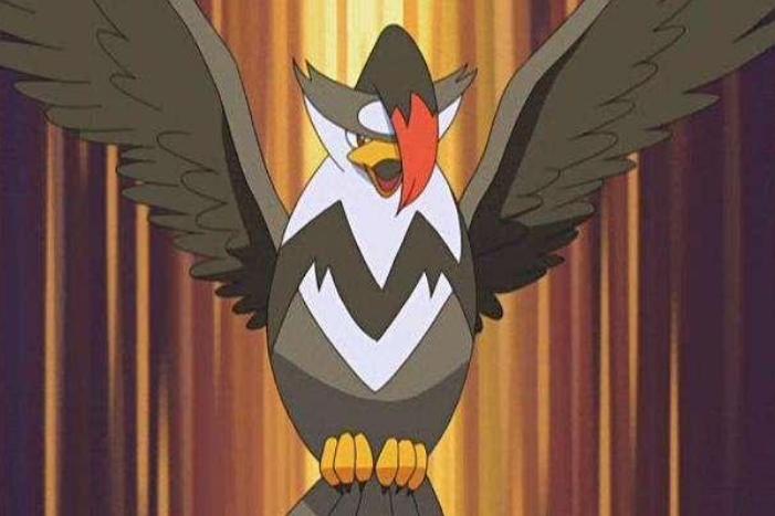 《宝可梦》姆克鹰依然是飞行系主要输出？不同特性不同线路？