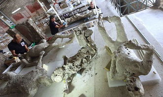 火山爆发有多恐怖,火山爆发有那么恐怖吗