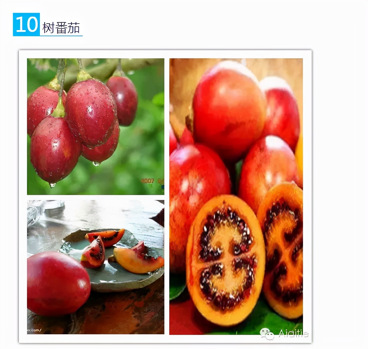 世界最好吃的水果十大排行,世界最营养又好吃的水果有哪些