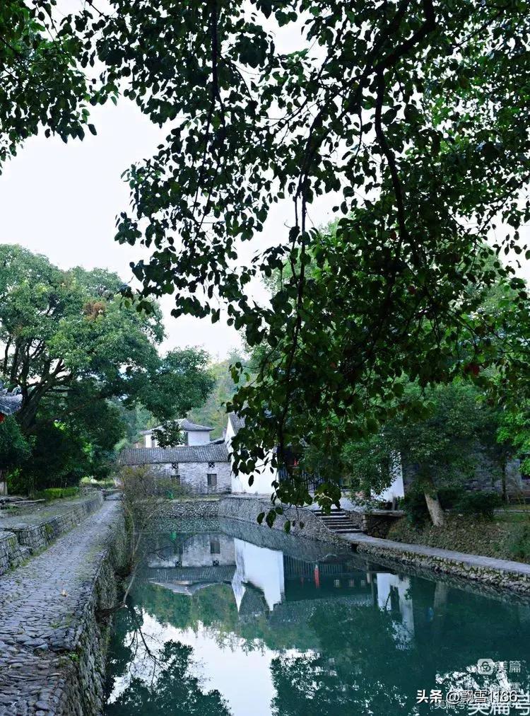 永嘉芙蓉古村落图片,永嘉芙蓉古村怎么免费进去