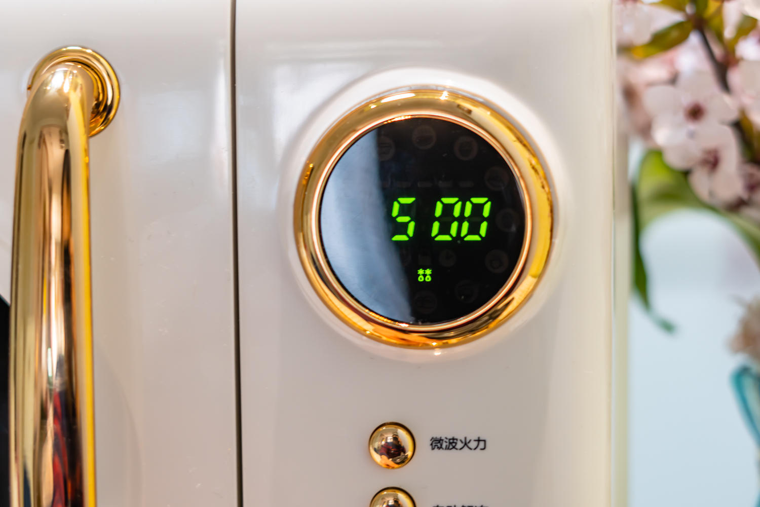 大宇微波炉微烤一体,微烤一体微波炉专用烤盘