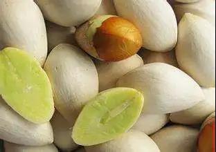 每天学习一味药,每天学习一味中药百合