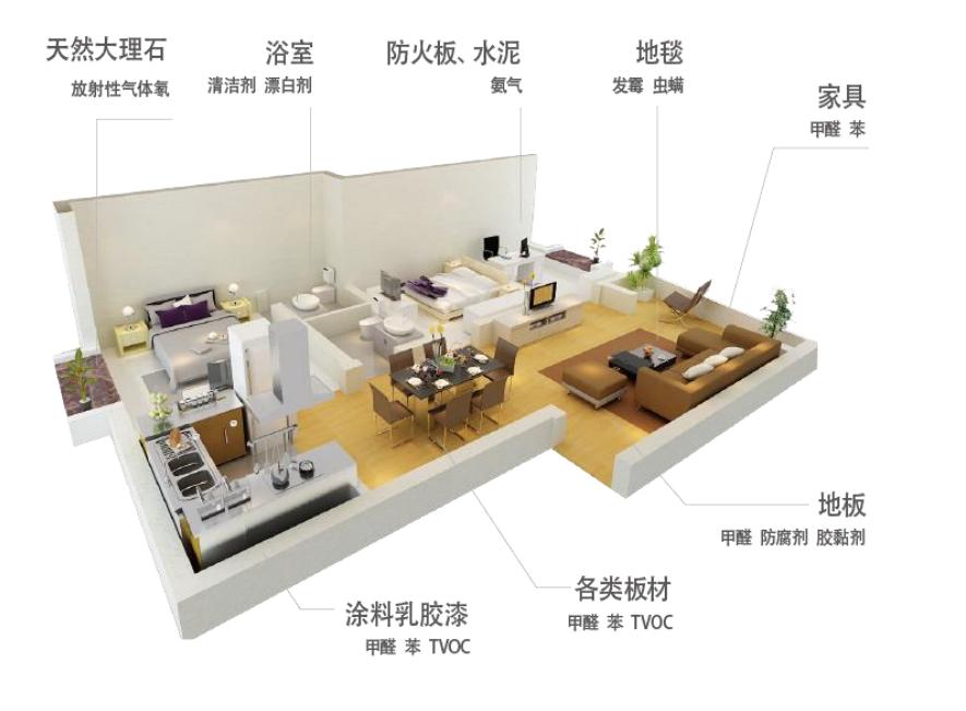 江苏除甲醛加盟品牌,除甲醛十大品牌加盟排名