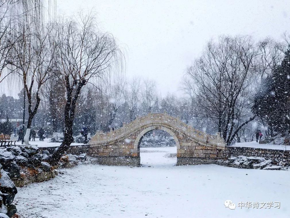 咏春最美诗词赏析,新韵七绝咏春100首诗词