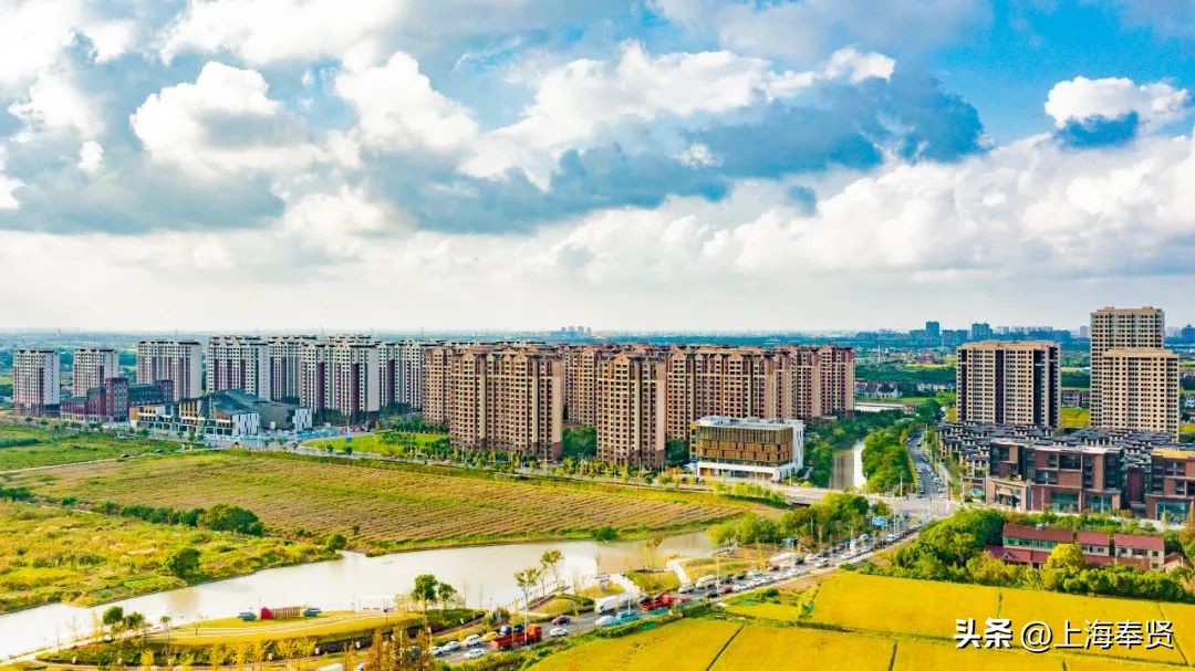 柘林绿色智慧小镇,2023年奉贤区柘林镇最新规划