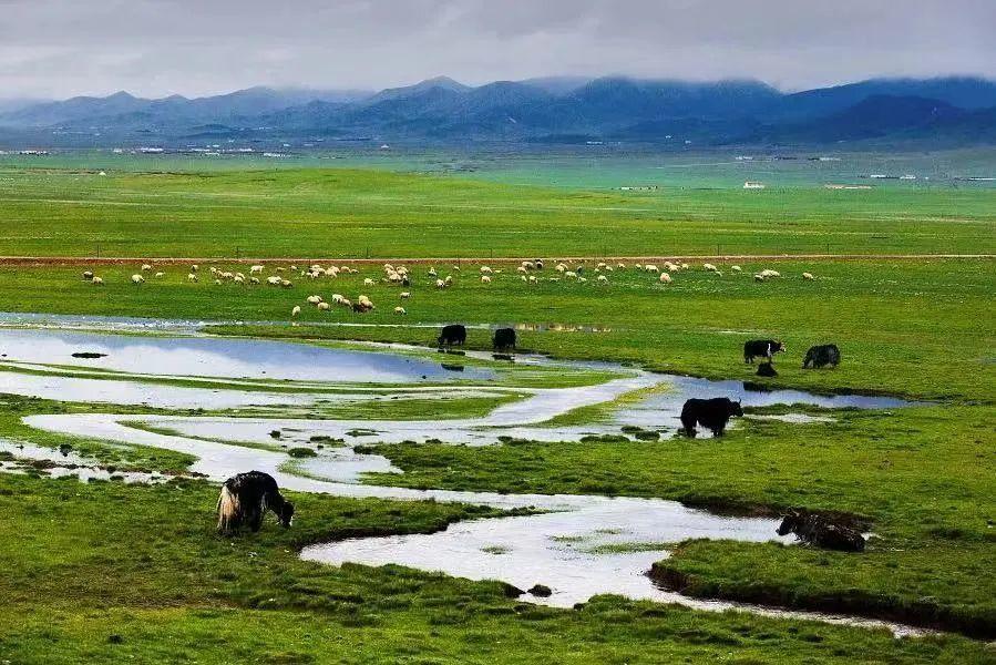 大美青海祁连美景图,美丽的青海祁连