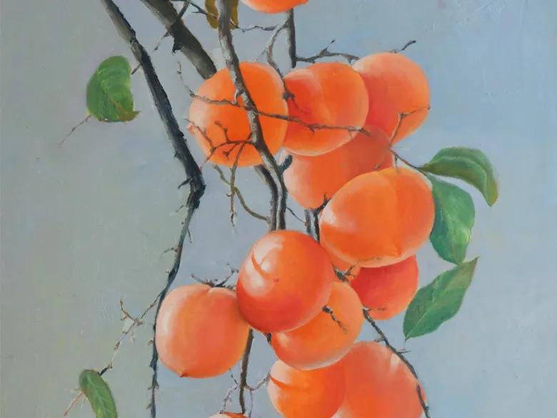 续：一棵柿子树一生牵挂一世情缘