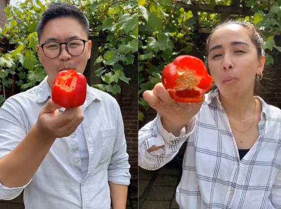 中国男子远赴荷兰，娶荷兰媳妇，生1娃，感叹：还是中国婆婆好！