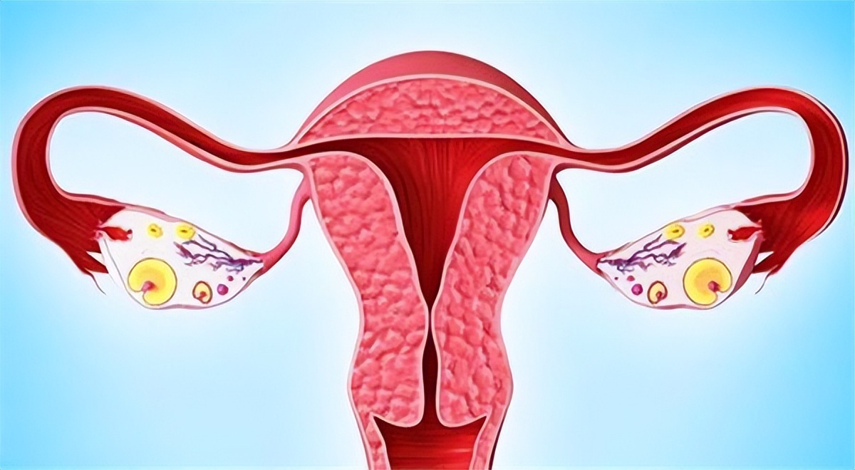 女人40岁后要多善待自己，常吃四种“零嘴”，补充“天然”雌激素