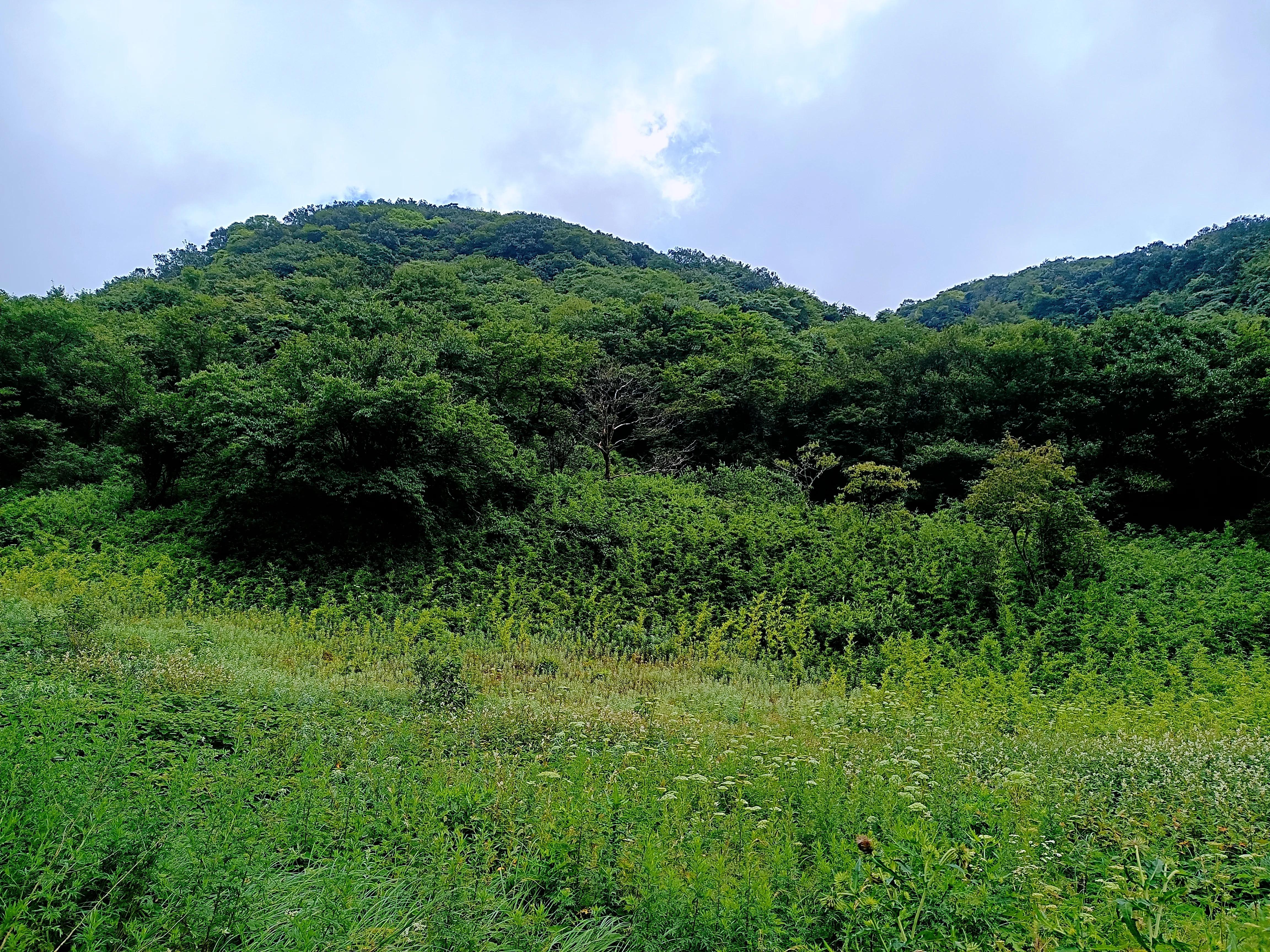 金佛山8月游详细攻略古佛洞,金佛山古佛洞地心之旅