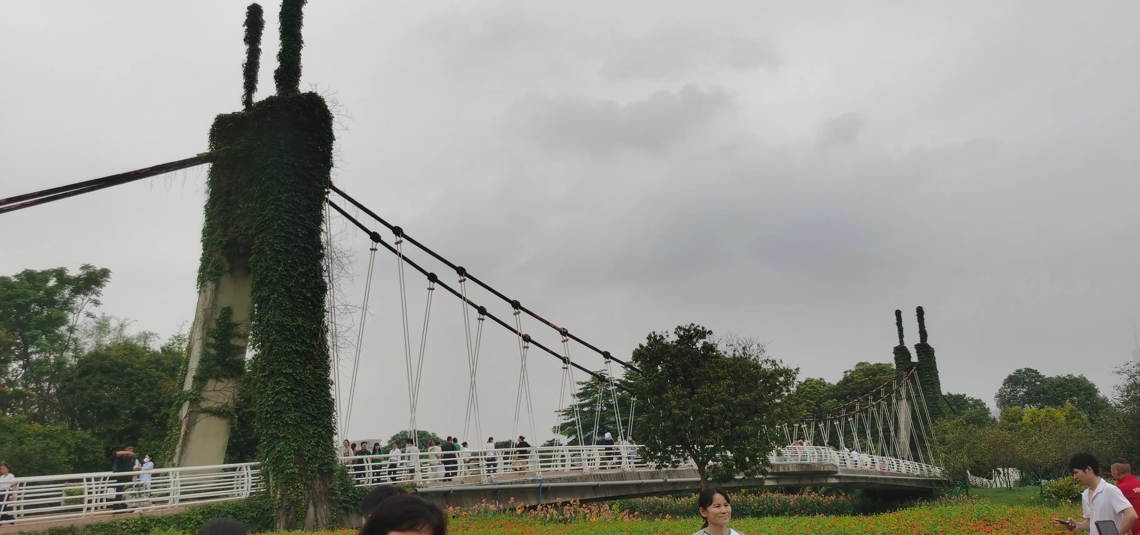 海珠湖湿地公园观鸟,海珠湖湿地公园地图