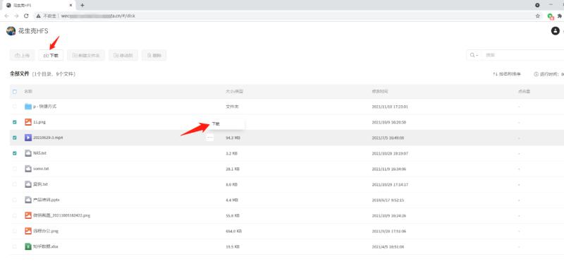 花生壳hfs,hfs自己搭建内网网盘