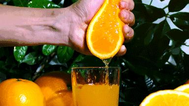 橘子怎么给孩子吃,橘子还是橙子