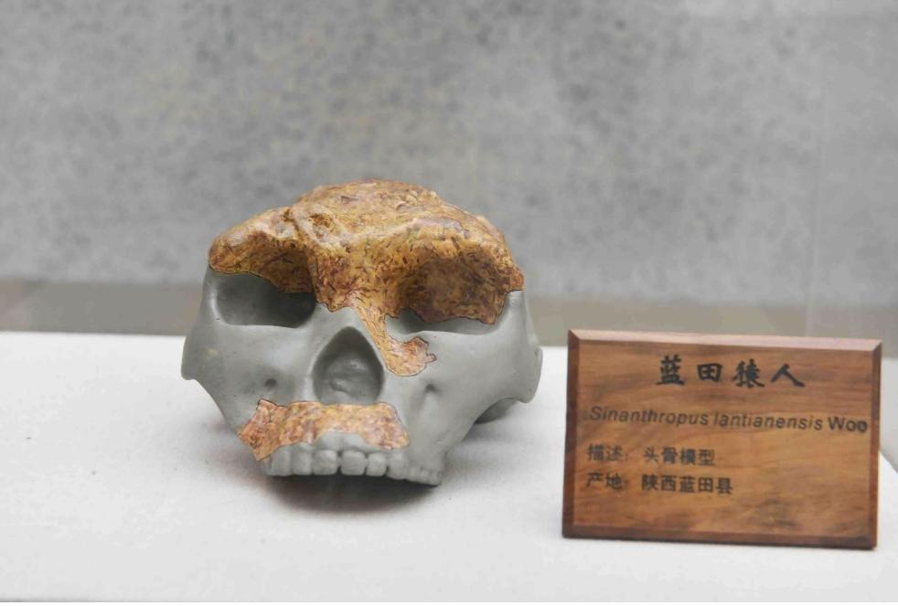 胆小莫入的人有多可怕,胆小勿进眼见不一定为实