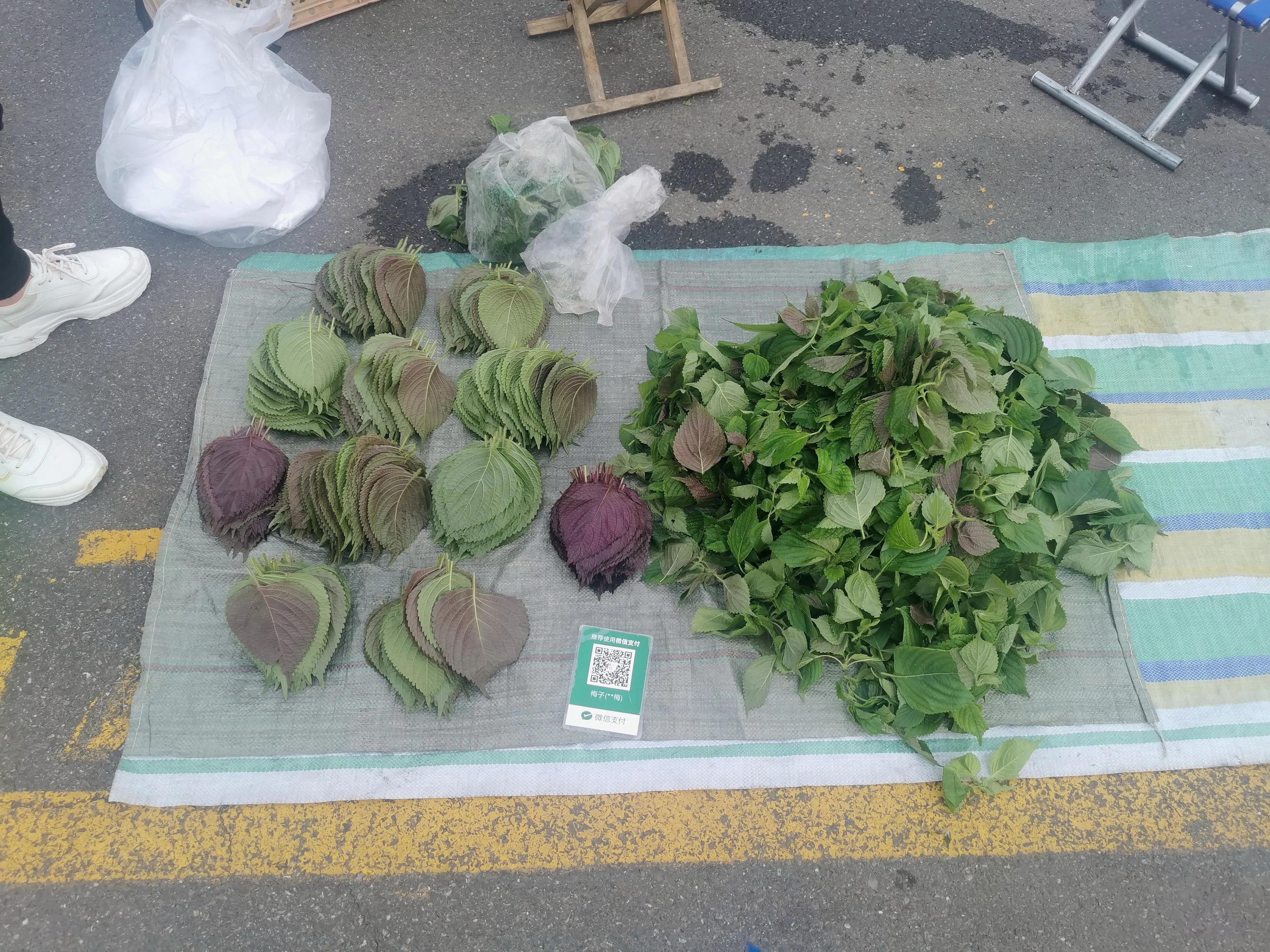 中国申请高句丽世界文化遗产遗址,高句丽历史文化遗址