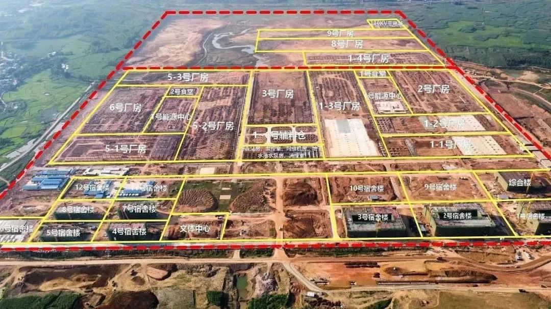 外地人来南宁实现水果自由,广西人的“水果自由”是这样的