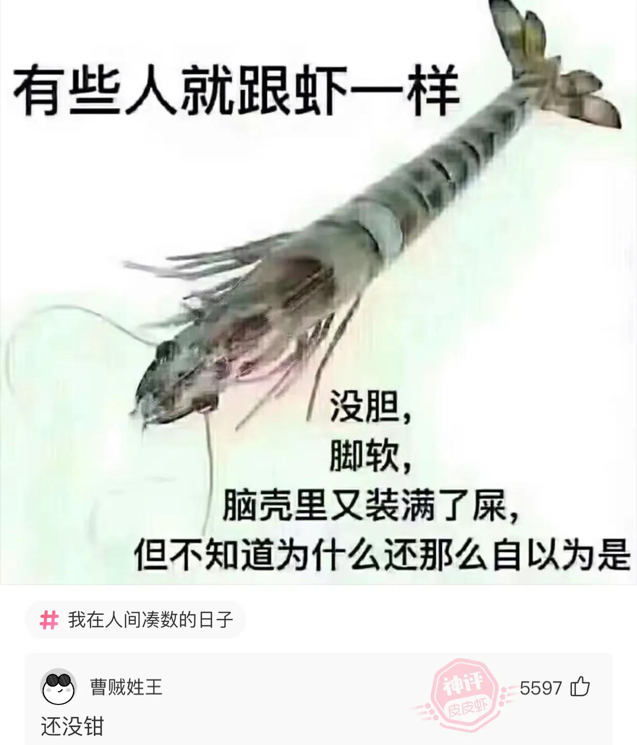 爆笑吐槽侮辱人的智商,盘点侮辱性极强的十大爆笑集锦