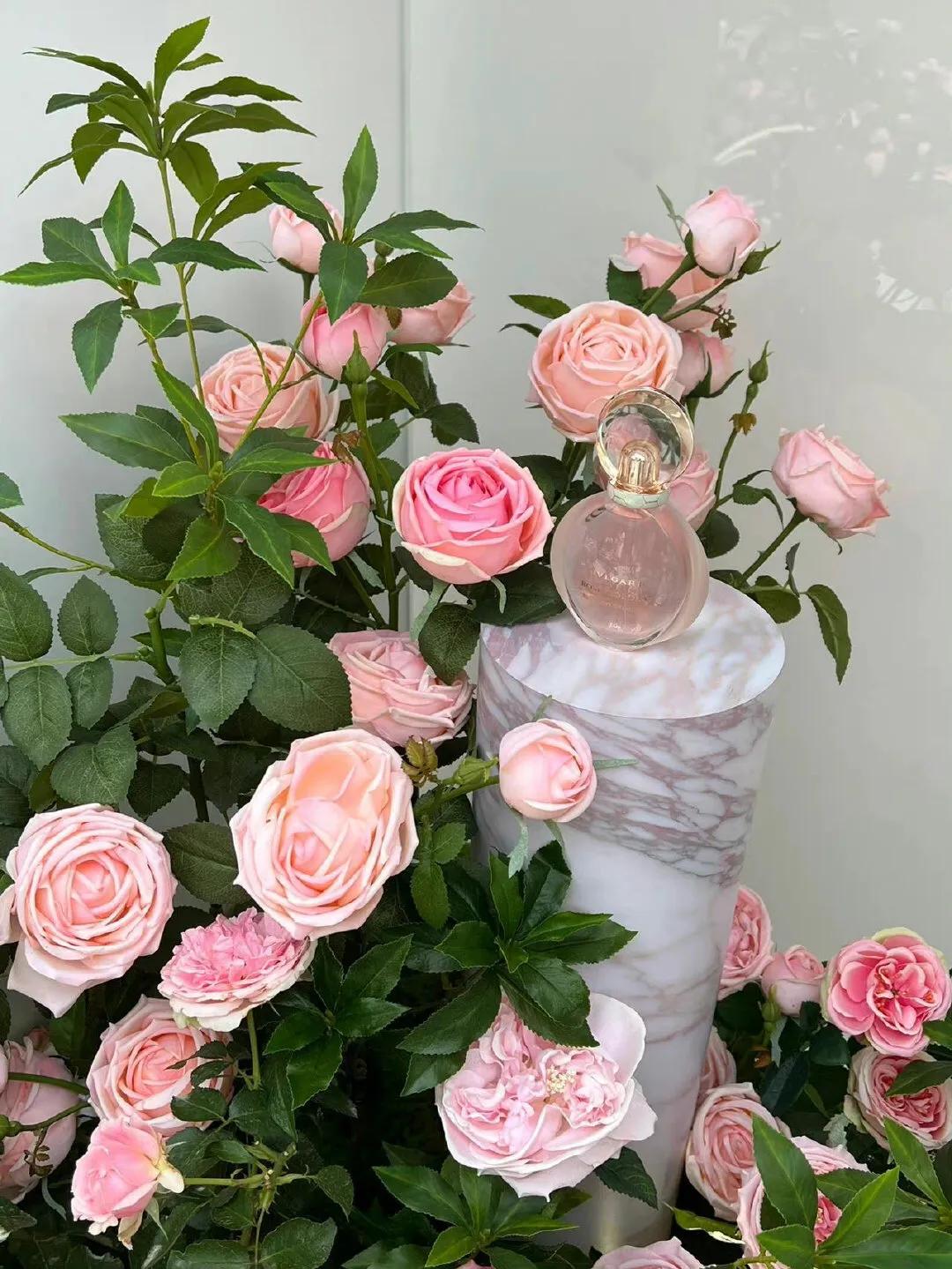 多年的感情突然断联了怎么挽回,和男人断联后想挽回的话术