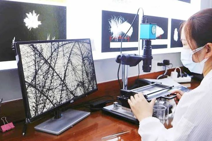 老鹅产品价格下调,老鹅为啥又涨价了