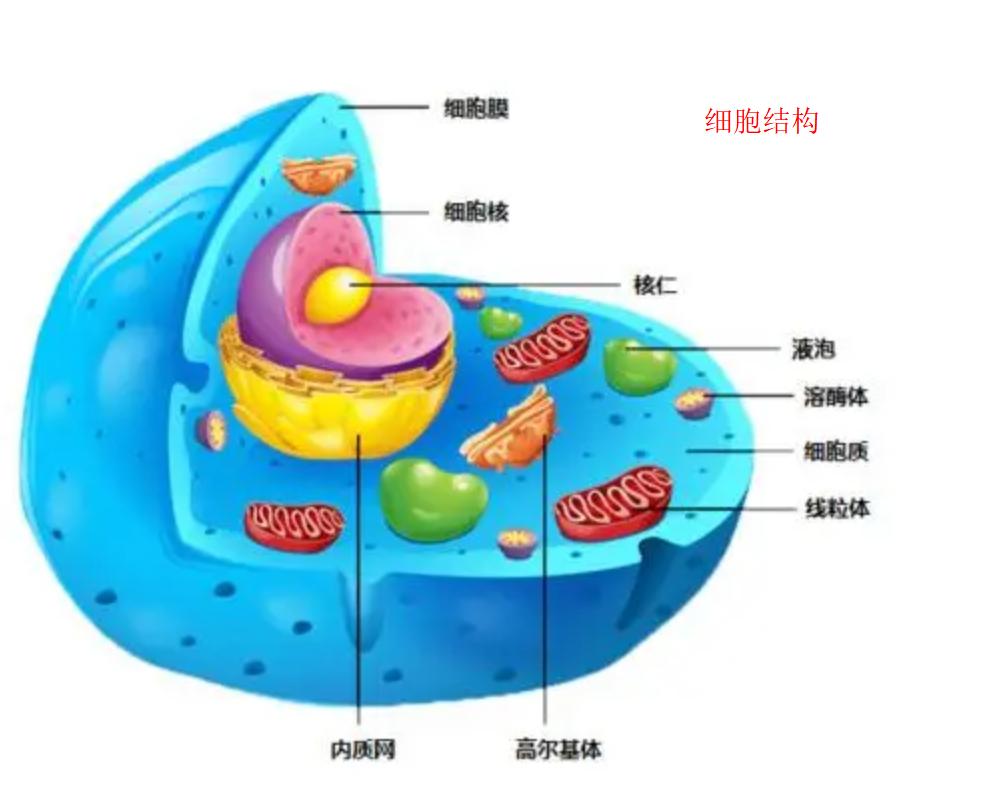 大海有多可怕视频,大海最危险的是什么