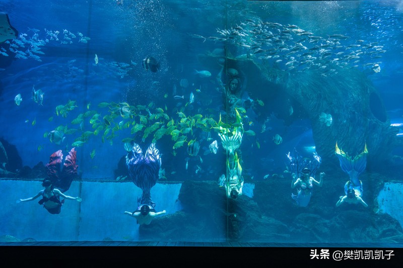 自驾游景点推荐江西赣南,赣南景点自驾游旅游攻略