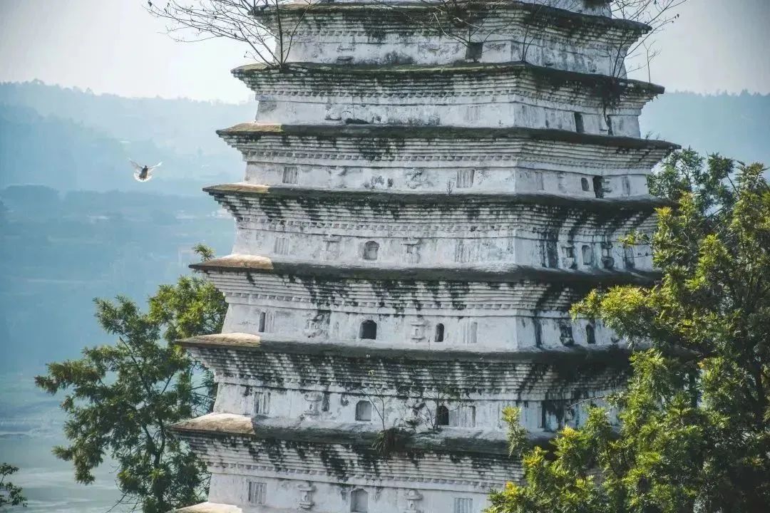 四线城市12所大学,四线城市有十几所大学