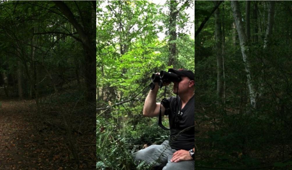 视得乐夜鹰白天适合观看吗,视得乐夜鹰854