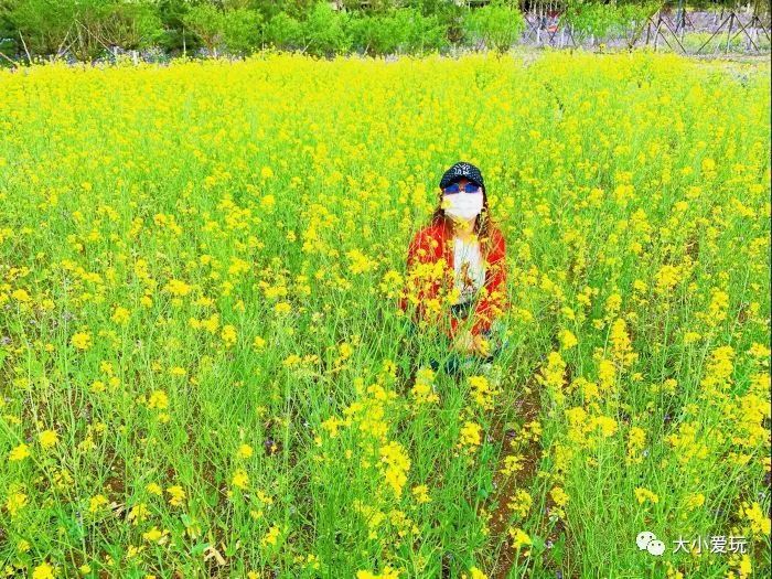 北京花海休闲公园,帝都游乐场