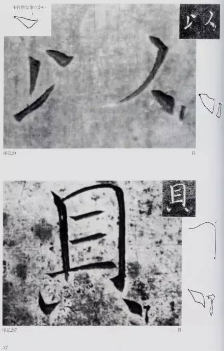 宸ョ瑪鐢绘潹鏅箟鐢诲唽,鏉滈箖鏉ㄦ櫘涔夊畬鏁寸増