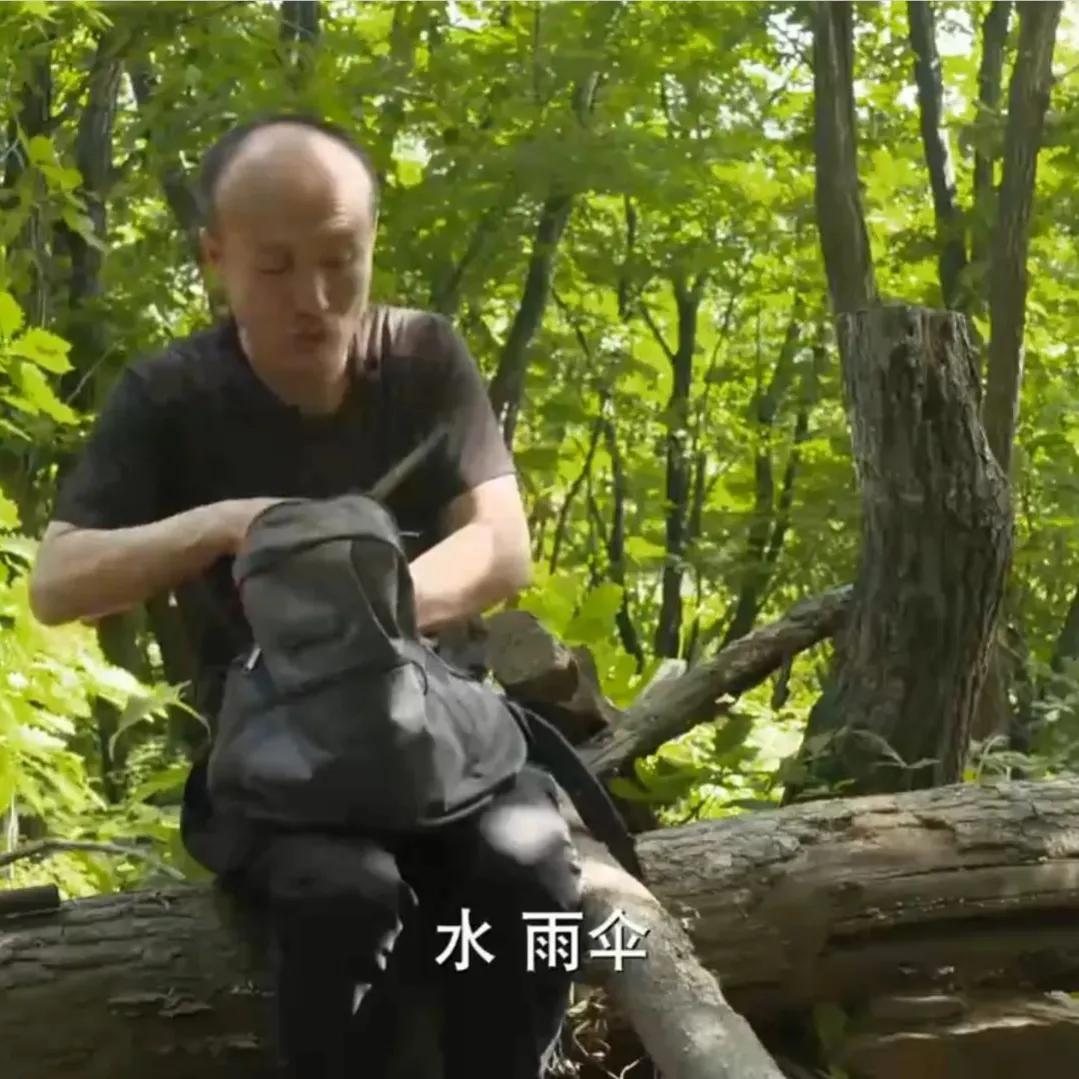 山地果园种林下参合法吗,山林地出租种林下参多少钱一亩