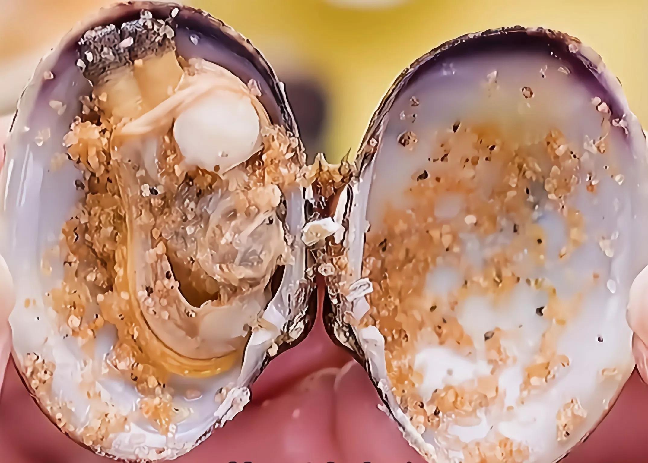 生活小妙招502配小苏打,不用胶水只用小苏打牙膏做起泡胶