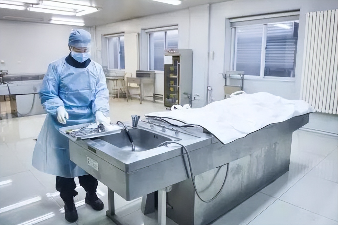 人体遗体捐献做标本有没有补偿,标本制作师工作