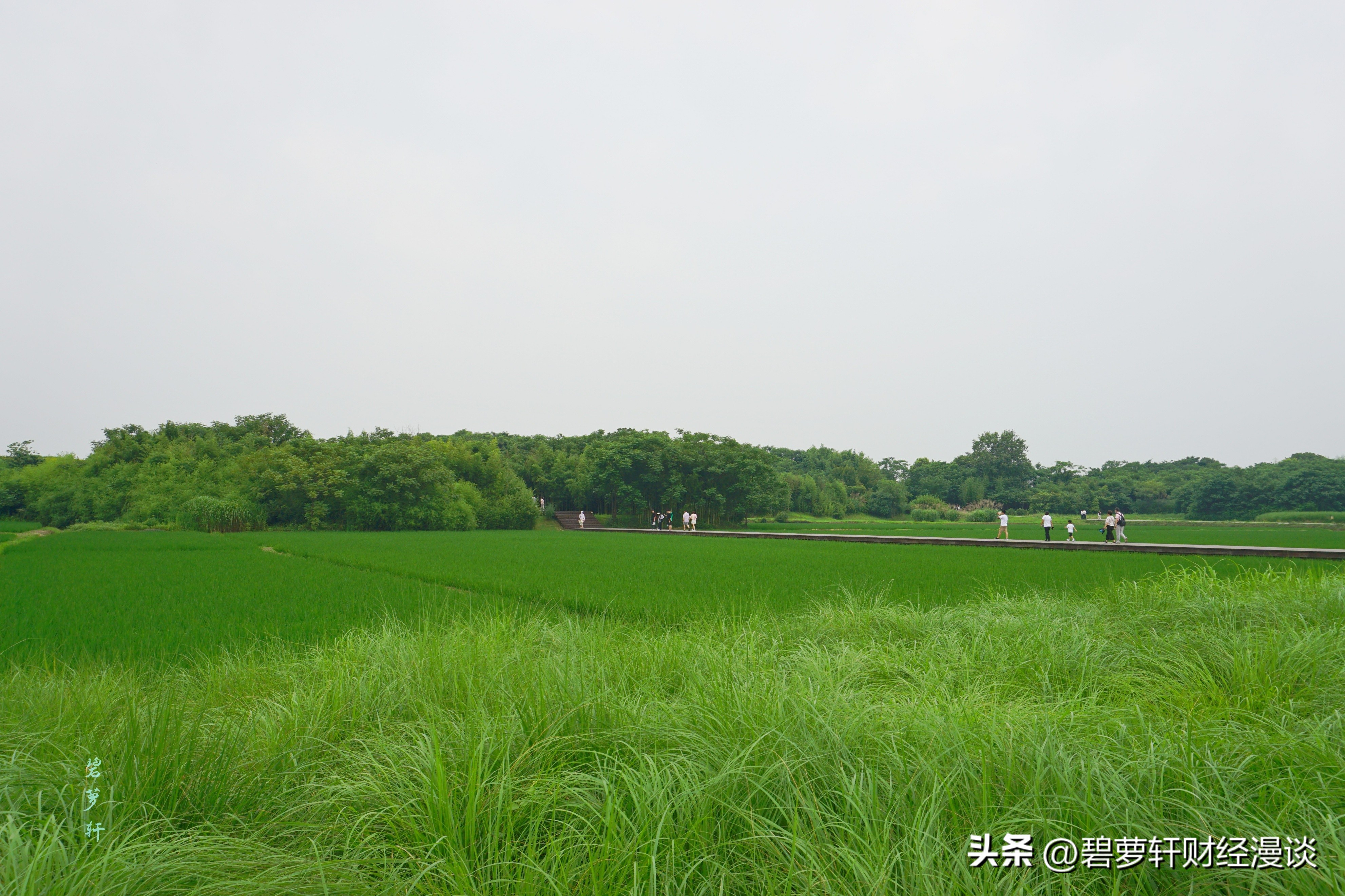 穿越5000年漫步良渚古城遗址公园,穿越千年探秘南粤