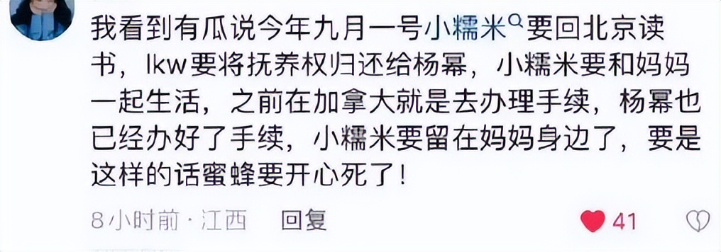杨幂拿回小糯米抚养权了吗,杨幂争取前小糯米抚养权了吗