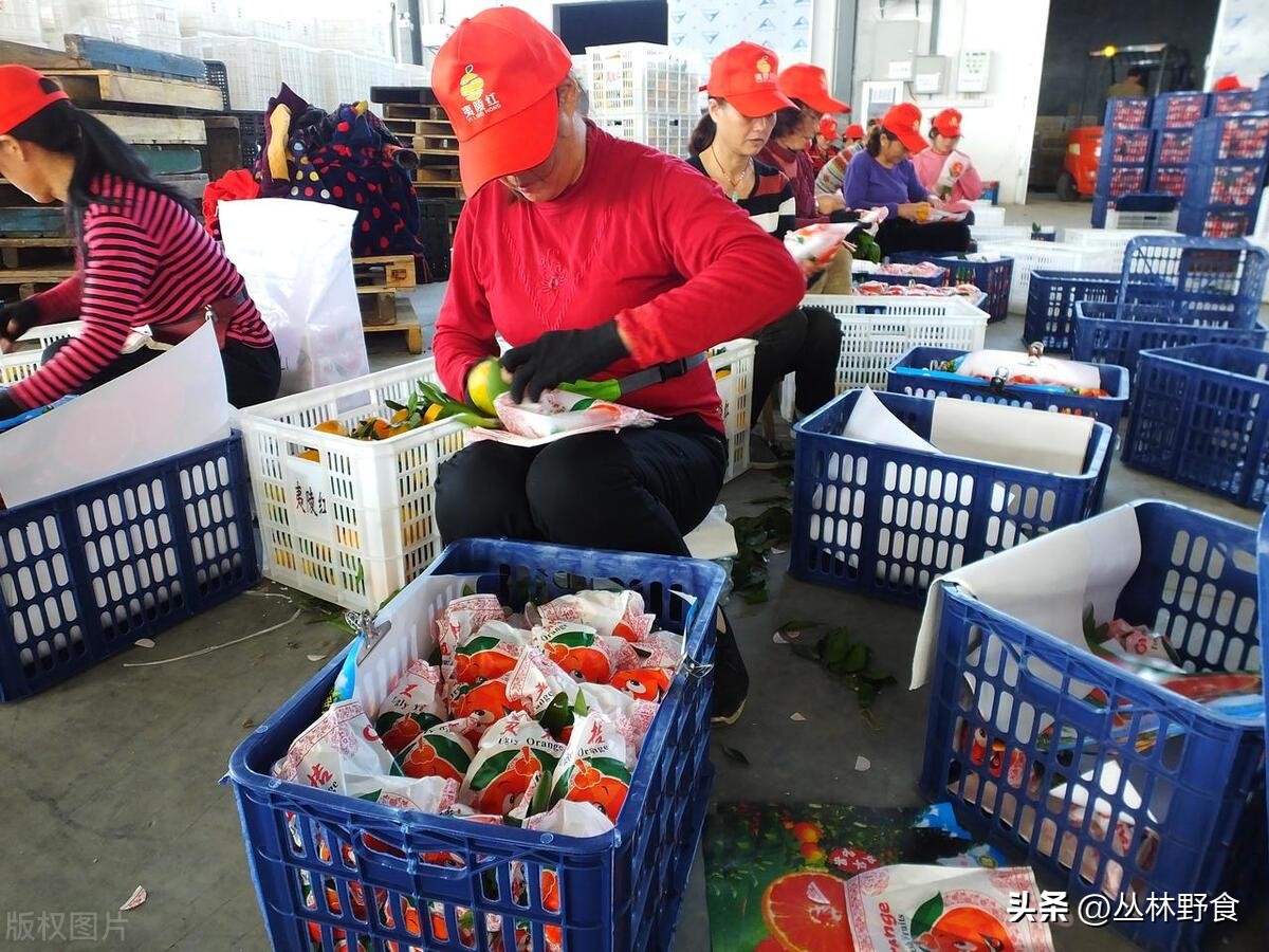 电商给经济带来什么好处,电商让中国百姓更富