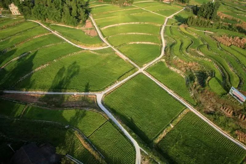 巴中经济发展基本情况,巴中发展优势