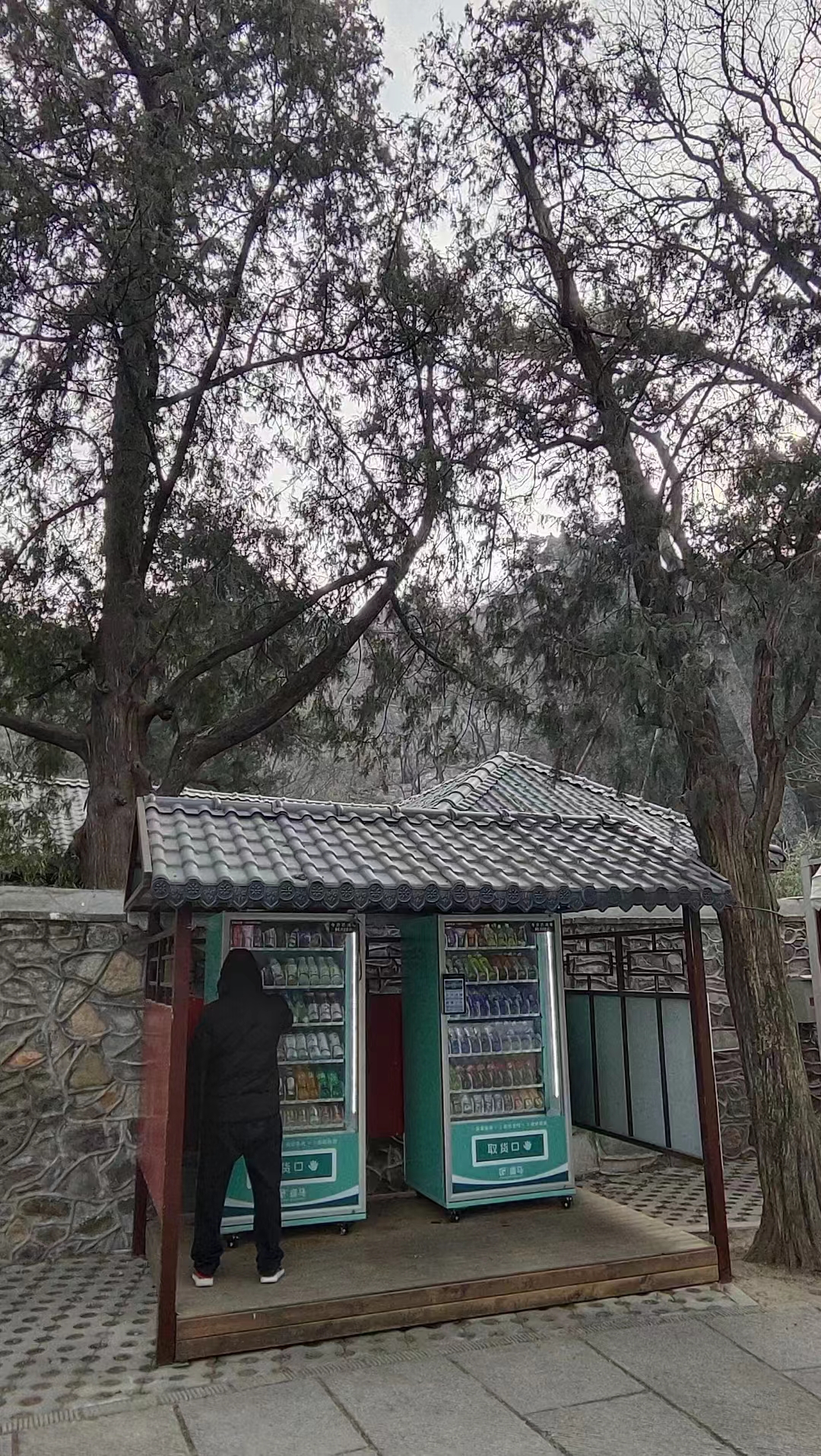 自动售货机运营赚钱方式,自动售货机收益怎么样