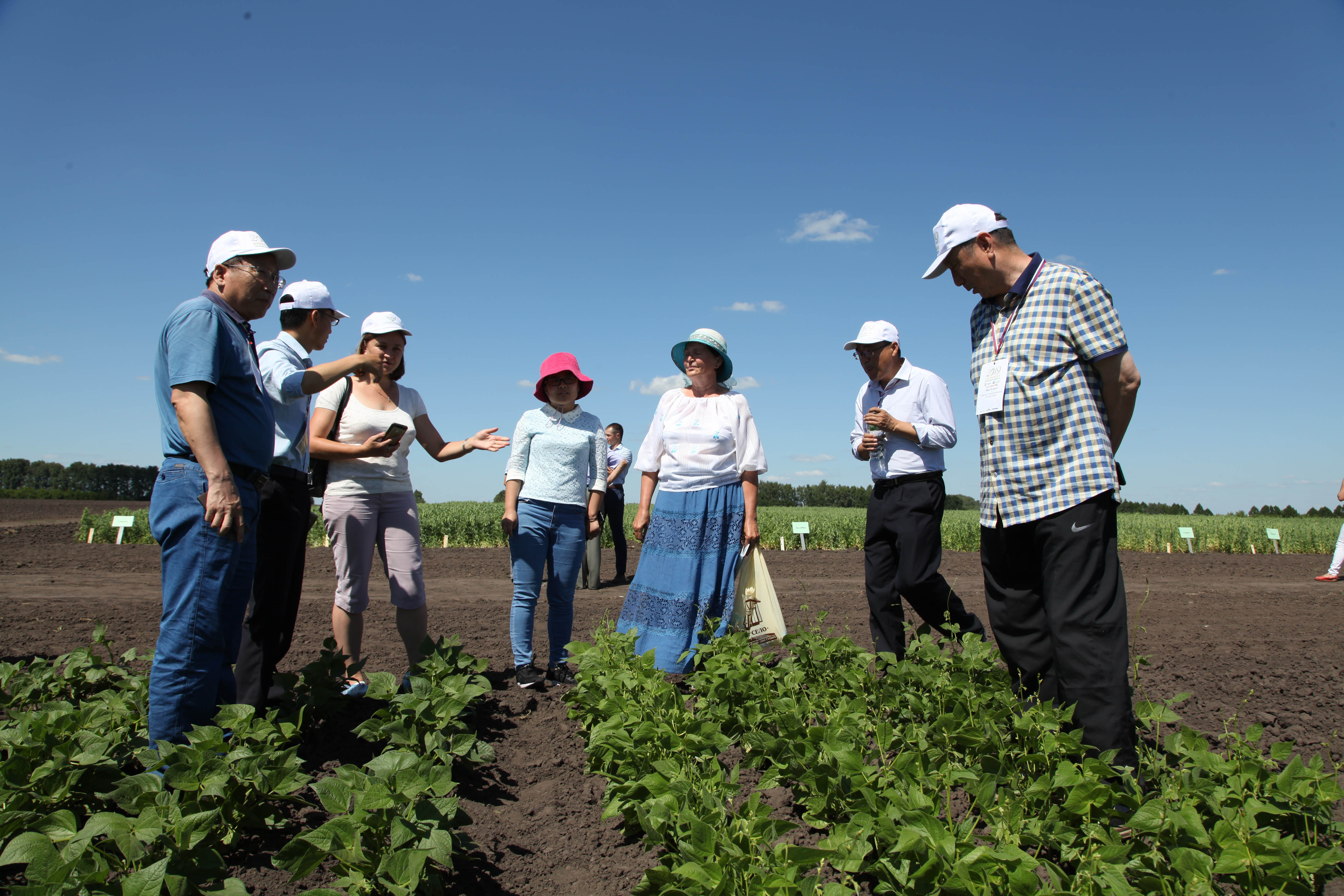 农业科技这十年丨冯佰利：深耕小杂粮成就品牌“天下知”