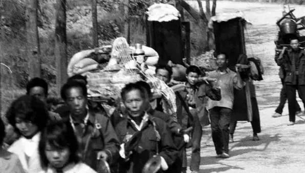 鏂板鐨勭瀵嗚鎻┛,鏂板鐨勭瀵嗗ぇ缁撳眬53