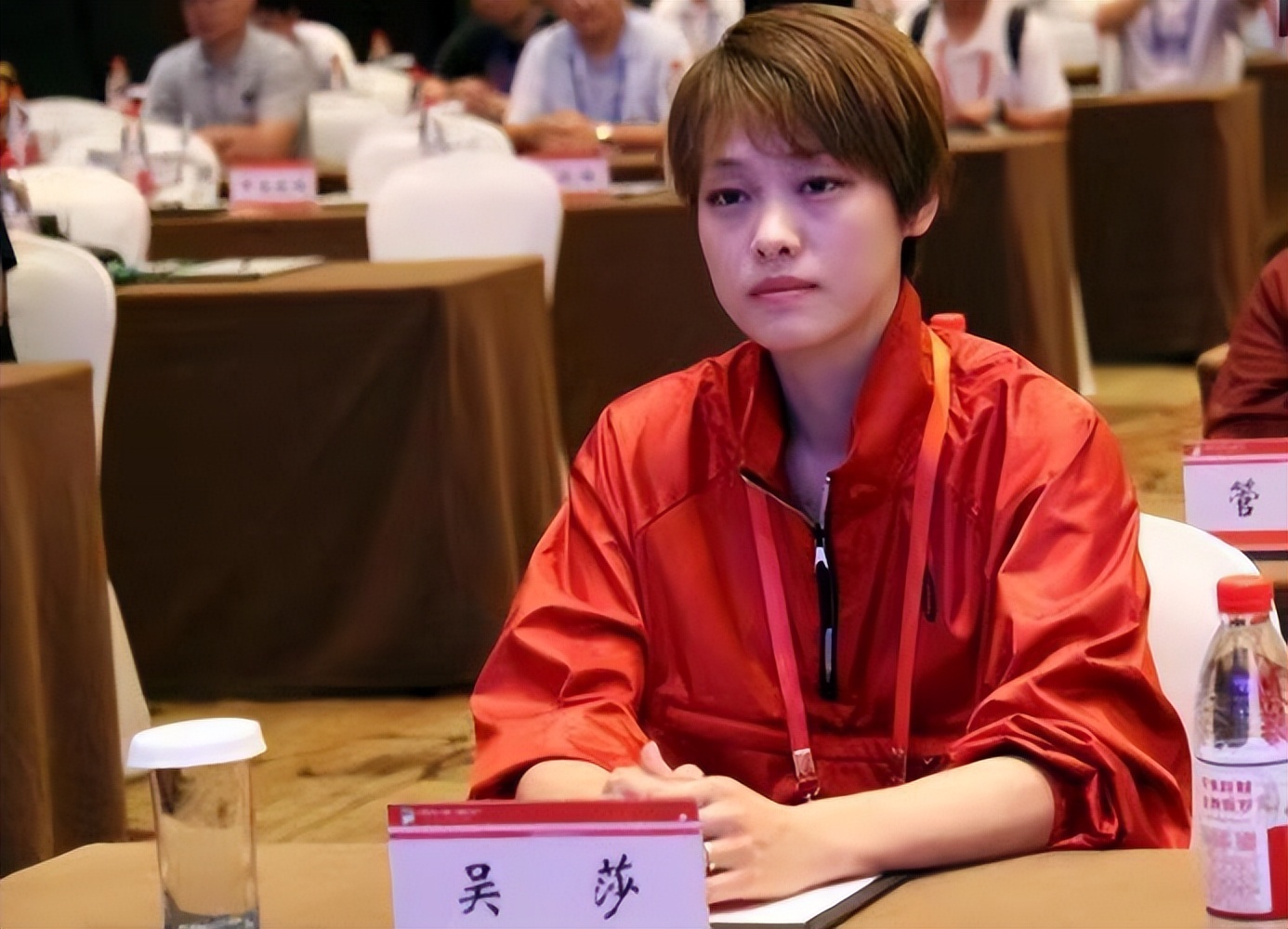 刘翔吴莎二婚照片,刘翔老婆吴莎工作单位