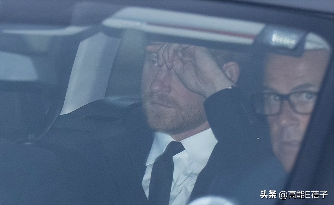 意难忘大结局丽珠离开,意难忘丽珠跟麦克的结局