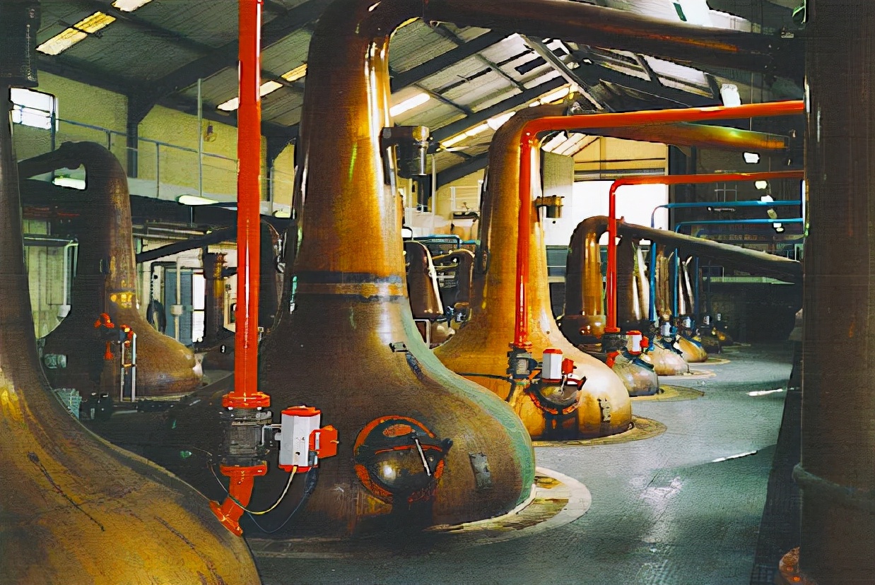 白兰地和威士忌哪种更有收藏价值 (威士忌和白兰地有何不同)