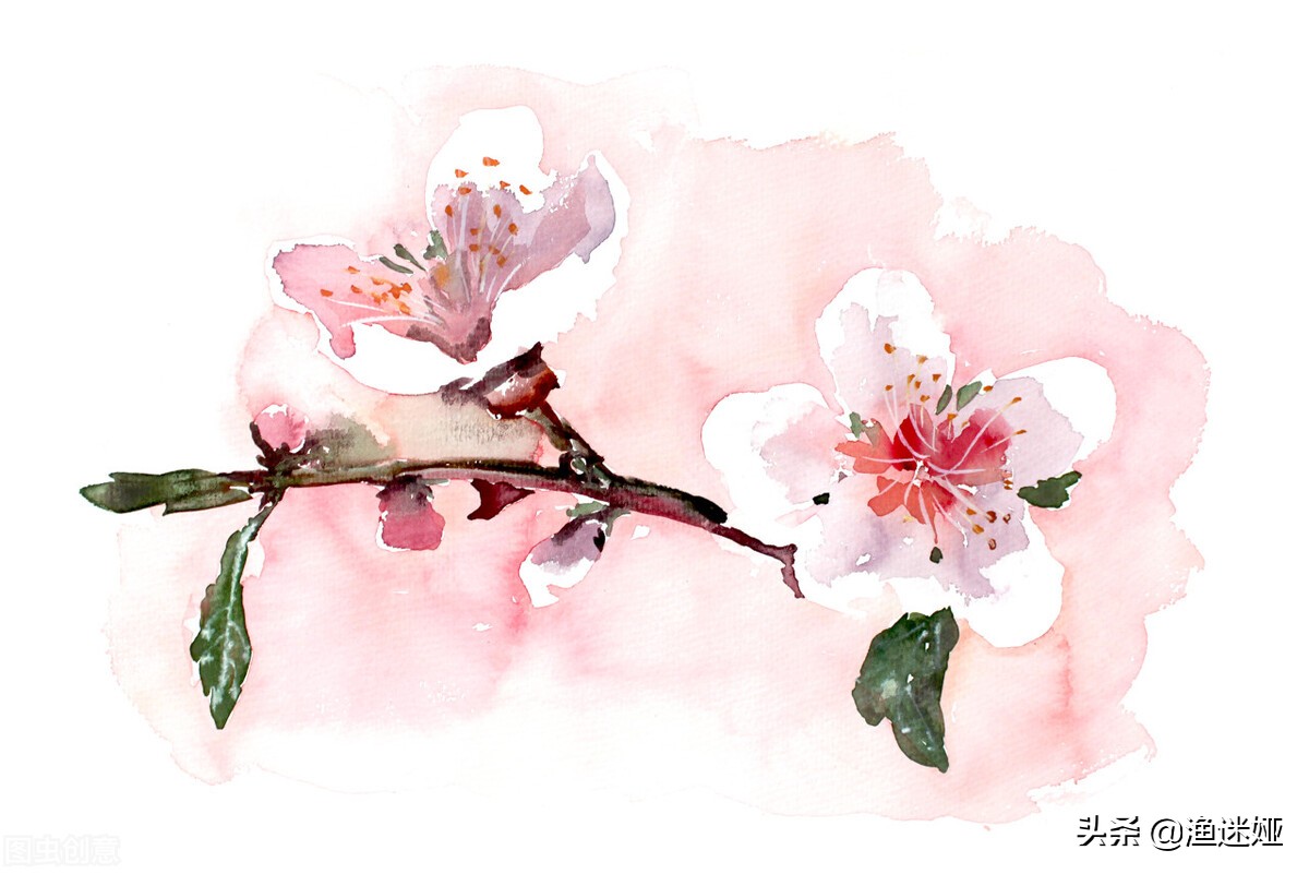 12星座适合的学校,12星座参加什么社团