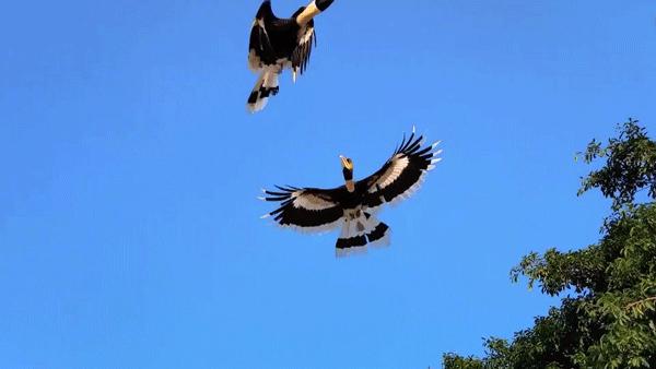 广州拍照打卡景点路线,广州出游打卡拍照姿势